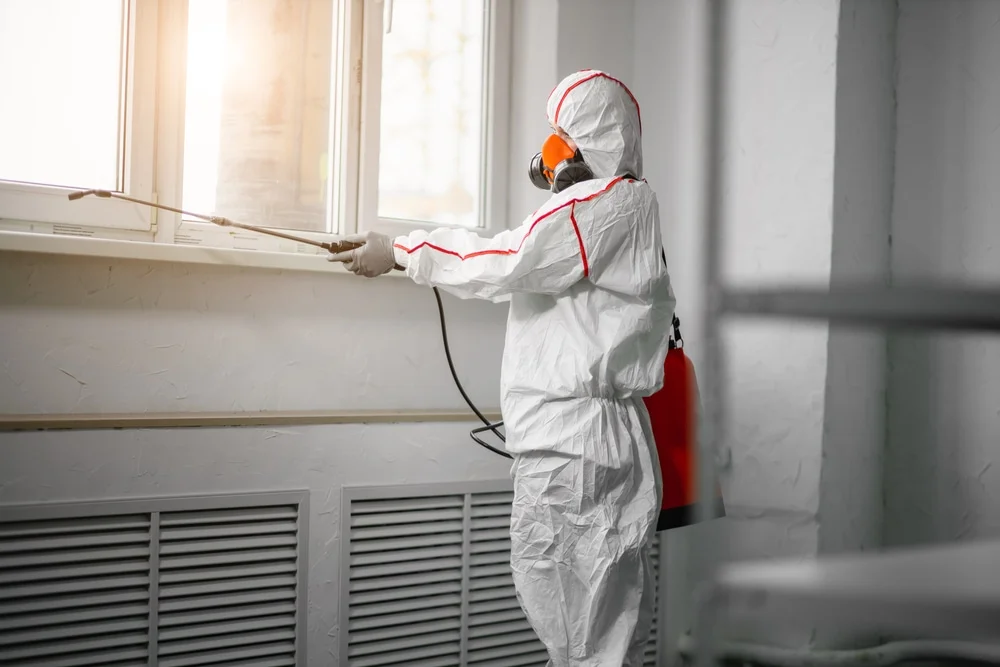 Professional mold remediation services in Menan, ID